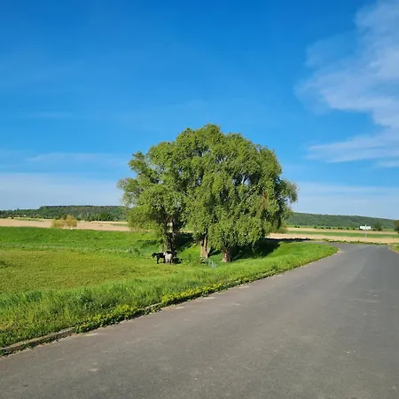 Ferienwohnungen Stolzenhagener 7 Lunow-Stolzenhagen Exterior foto